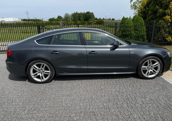 Audi A5 cena 56500 przebieg: 291500, rok produkcji 2012 z Lublin małe 106